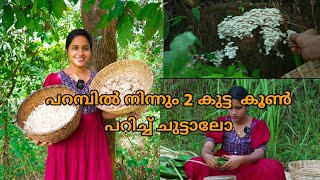 പറമ്പിൽ നിന്നും 2 കുട്ട കൂൺ പറിച്ച് ചുട്ടാലോ mushroom cooking Saranyas beauty Vlogs [upl. by Bearnard305]