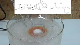 trans cinnamic acid synthesis via claisen condensation part 1 ChemPlayer tribute [upl. by Sopher803]