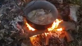 fazan la tuci pheasant in the cauldron [upl. by Hcone934]