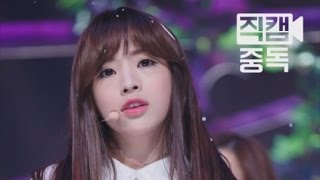 Fancam JinE of OH MY GIRL오마이걸 진이 CLOSER M COUNTDOWN151008 EP51 [upl. by Hamo]