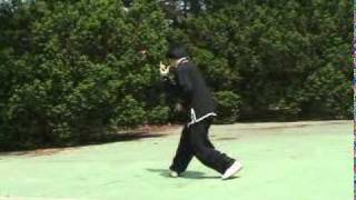 Xingyiquan Xingyi Quan Hsing I Chuan Hsing Yi Chuan Form and Applications 形意拳套路及應用 [upl. by Lleinad785]