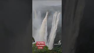 Jog Falls following heavy rains Linganamakki dam gates opened Karnataka jogfalls [upl. by Edualc]