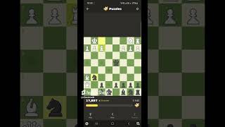 Chess Puzzle  Blunders amp Lessons [upl. by Latreece9]