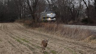 Nickel Plate Express Reindeer Ride and Holiday Train Part 1 [upl. by Jola647]