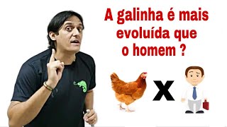 A galinha é mais evoluída que o ser humano [upl. by Oigaib]