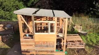 Shed made entirely of pallets [upl. by Asert96]