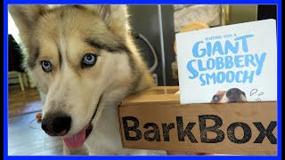 SHELBY WANTS THE CARROT  BarkBox UnBoxing with the Snow Dogs [upl. by Anegroeg]