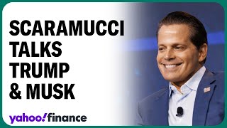 Anthony Scaramucci on Elon Musks DOGE plans [upl. by Nnylakcaj45]