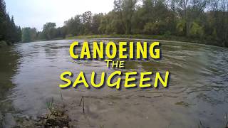 Canoeing The Saugeen [upl. by Selbbep763]