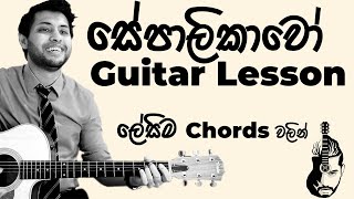 Sepalikawo Guitar Lesson  EASY Chords  Shehan Kaushalya  Sinhala Guitar Lesson [upl. by Ryun]