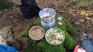 Vintage Trangia Cooking In The Forest  Salt amp Pepper Chicken With Egg Fried Rice [upl. by Clementis60]