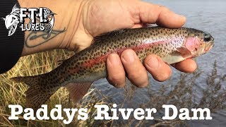 FTL Lures  Exploring Paddys River Dam [upl. by Eanom]