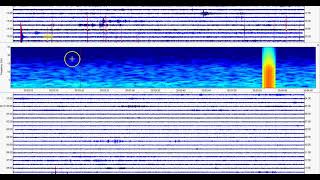 Pray  Yellowstone Volcano Caldera Earthquake Swarm After New Zealand Quakes [upl. by Suiradel585]