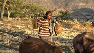 Farming in the Central Highlands of Ethiopia [upl. by Lauro]