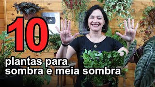 10 plantas para SOMBRA e MEIA SOMBRA [upl. by Benisch]