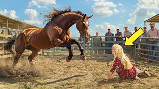 CABALLO DESPRECIADO POR SUS PATAS CORTAS Y HERIDAS HASTA QUE UNA MUJER LO TRANSFORMÓ EN UNA LEYENDA [upl. by Branch496]