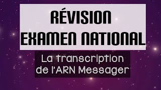 Révision SVT La transcription de lARN Messager 25 questions Vrai Faux génétique [upl. by Eddana]