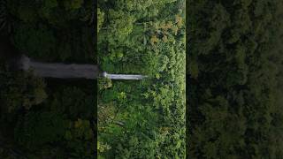 Hidden gem air terjun penumpahan Pagaralam drone dji pagaralam djimini2 airterjun [upl. by Jablon]