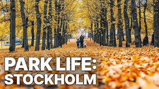 Park Life Stockholm  True Paradise for Excursions [upl. by Aleik]