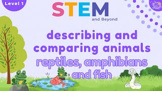 Describing and Comparing Animals Reptiles amphibians and fish  KS1 Year 1 STEM Summer Camp [upl. by Gusta]