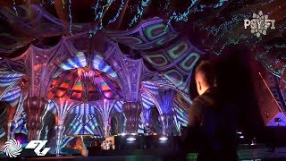 Ace Ventura  PsyFi Festival 2019 full set movie [upl. by Reerg]