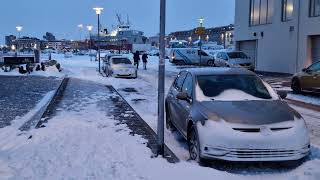 A TYPICAL WINTER DAY IN REYKJAVIK ICELAND [upl. by Truitt]