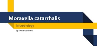 Microbiology  Moraxella Catarrhalis [upl. by Aletha]