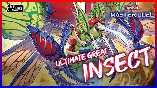 The Ultimate Great INSECT Deck YuGiOh Master Duel [upl. by Ihn433]