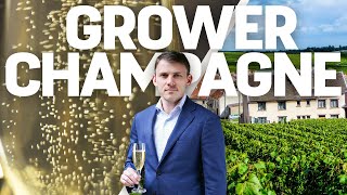 5 Champagne Producers To Know  Master of Wine Recommendations [upl. by Rabkin681]