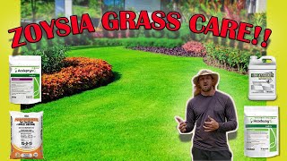 How To Care For Zoysia Grass Full Guide Fertilizer  Mowing  Watering  Pest  Fungus  Weeds [upl. by Ajiat971]