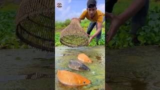 Unbelievable Polo Challenge Fishing Video  shorts shortsfeed funny polo fishing unique [upl. by Os]