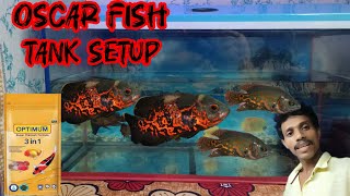 Oscar Fish Tank Setup  New Tiger Oscar Fish For My Aquarium [upl. by Eladroc]