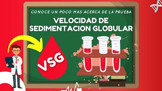 🔴 CONOCE ➕ ACERCA DE LA PRUEBA VSG VELOCIDAD DE SEDIMENTACION GLOBULAR 👀 [upl. by Welles]