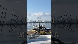 【海苔】展開 海苔成長 佐賀 有明海 大詫間 [upl. by Einaled]