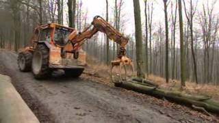 Markierte Bäume  Sachgeschichten  Die Sendung mit der Maus  WDR Fernsehen [upl. by Brown83]