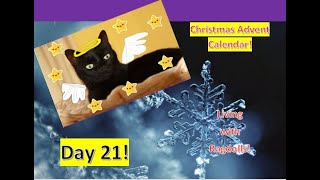 Christmas Advent Calendar  Day 21 Living with Ragdolls [upl. by Sabian367]