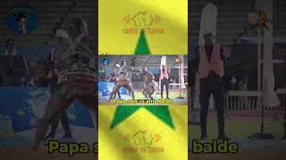 PAPA SOW VS AMA BALDE  replay lamB lamb luttesénégalaise CONTESLAMB [upl. by Nalac]