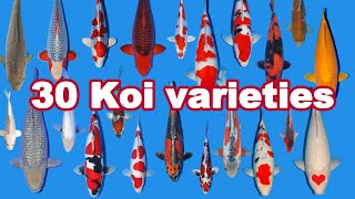 30 Koi Fish varieties types and characteristics [upl. by Jillayne]