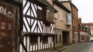 Ellacombe  Traditional Tunes Played on Mountain Dulcimer  Nigel Pennick [upl. by Ulah]