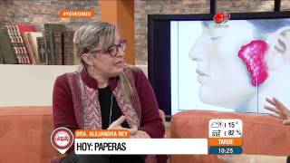 Dra Alejandra Rey habla de Paperas [upl. by Mccullough135]