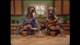 Sesame Street Wegman Dogs Peanut Butter and Jelly Sandwiches 1999 [upl. by Akselav]