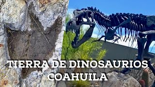 Coahuila Tierra de Dinosaurios En búsqueda de huellas y fósiles en el desierto [upl. by Matthew319]