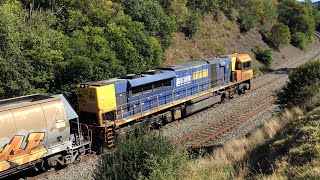 TT locomotives at Picton [upl. by Eiramalegna]