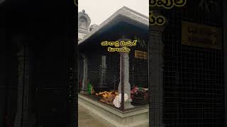 Yadadri Temple youtubeshorts viralshorts 🙏 [upl. by Mossman]