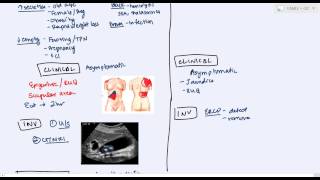 Gallbladder Diseases cholelithiasis choledecholithiasis cholecystitis cholangitis [upl. by Ecylahs]