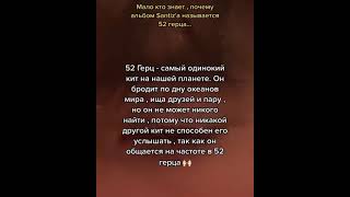 Почему Альбом Santiz a называется 52 герца🐋🐳🥀 [upl. by Azal]