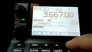 YAESU FT817 VS ICOM IC7100 QRM [upl. by Rucker497]