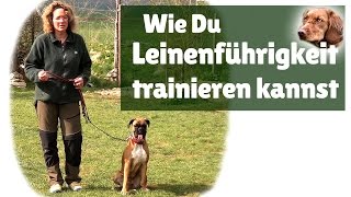 Leinenführigkeit ► Hilfe mein Hund zieht an der Leine  Leinenführigkeit trainieren [upl. by Dare]