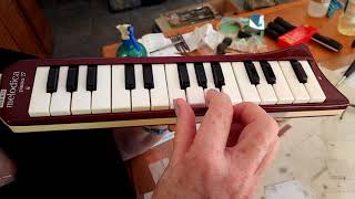 Playing The Hohner Melodica Piano 27 After 45 Years In Storage And A Deep Clean [upl. by Cullan]