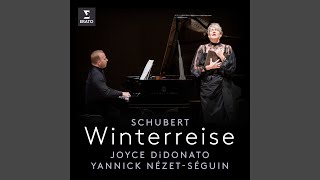 Winterreise Op 89 D 911 No 11 Frühlingstraum [upl. by Swan]